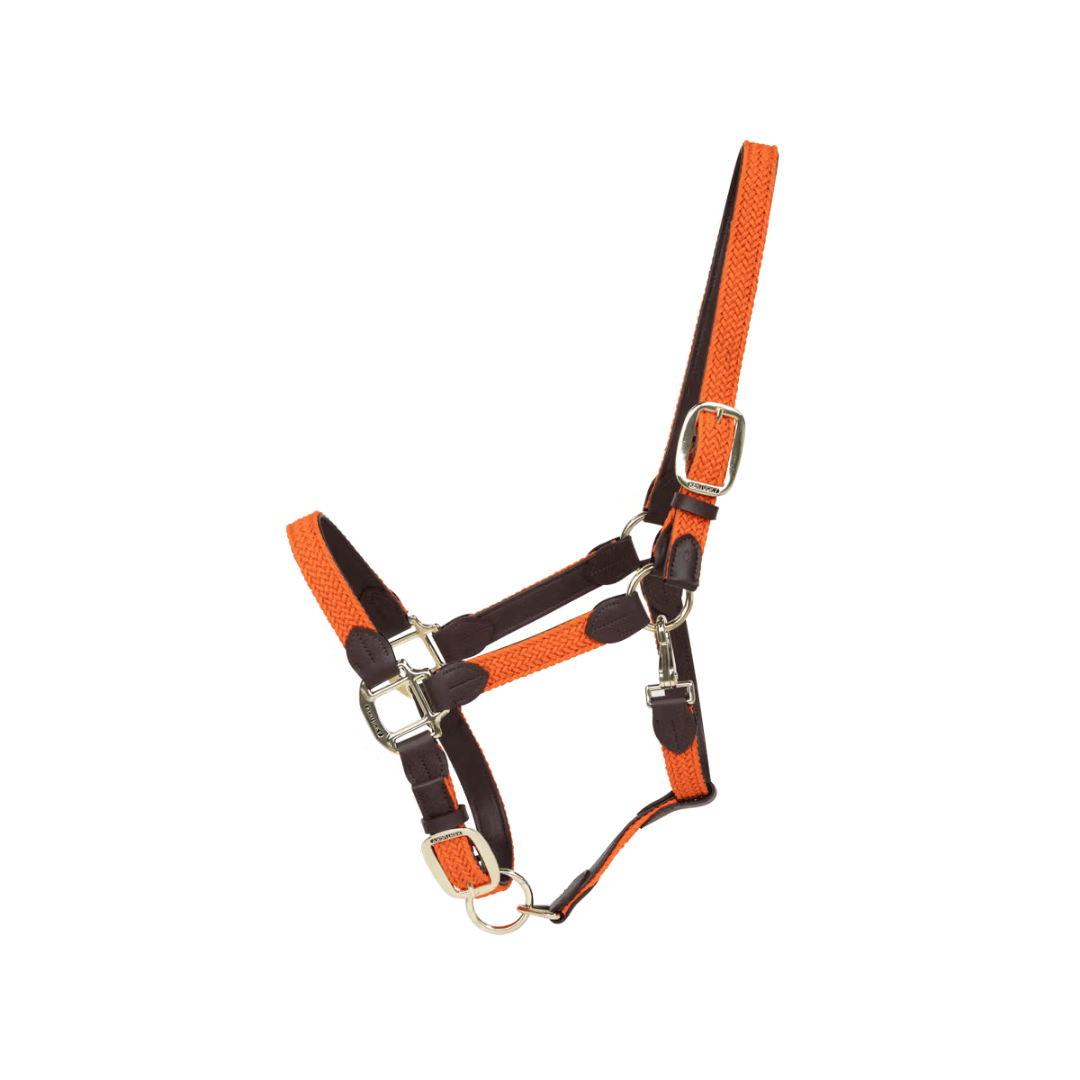 Kentucky Horsewear Plaited Nylon Halter