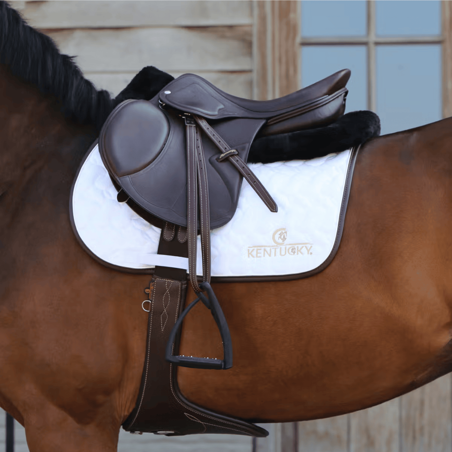 Kentucky Horsewear Anatomic Shock Abosrbing Half Pad