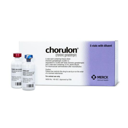 Equidone Reproductive Supplements & Treatments for Horses | Corro