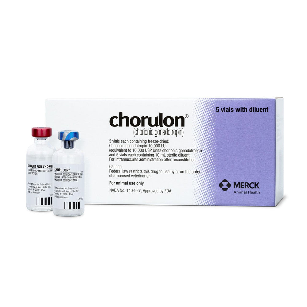 Chorulon HCG