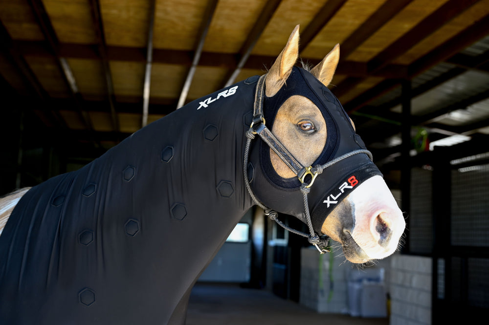 XLR8 Equine Velocity Hood