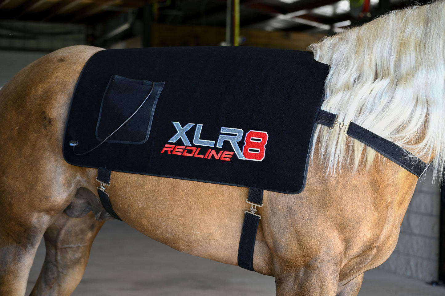 XLR8 Equine Redline Back Wrap
