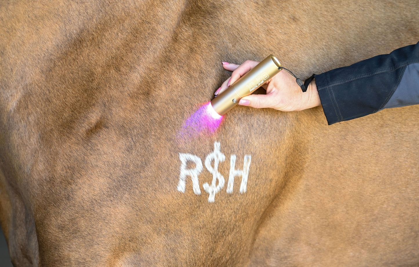 XLR8 Equine Ignite Handheld Therapy Light