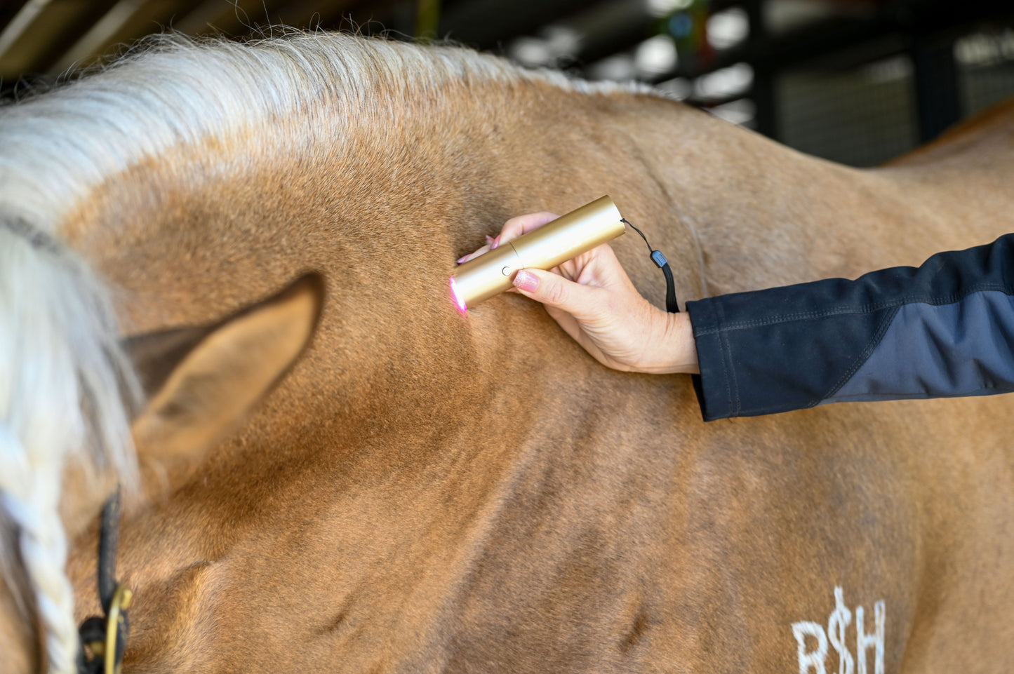 XLR8 Equine Ignite Handheld Therapy Light