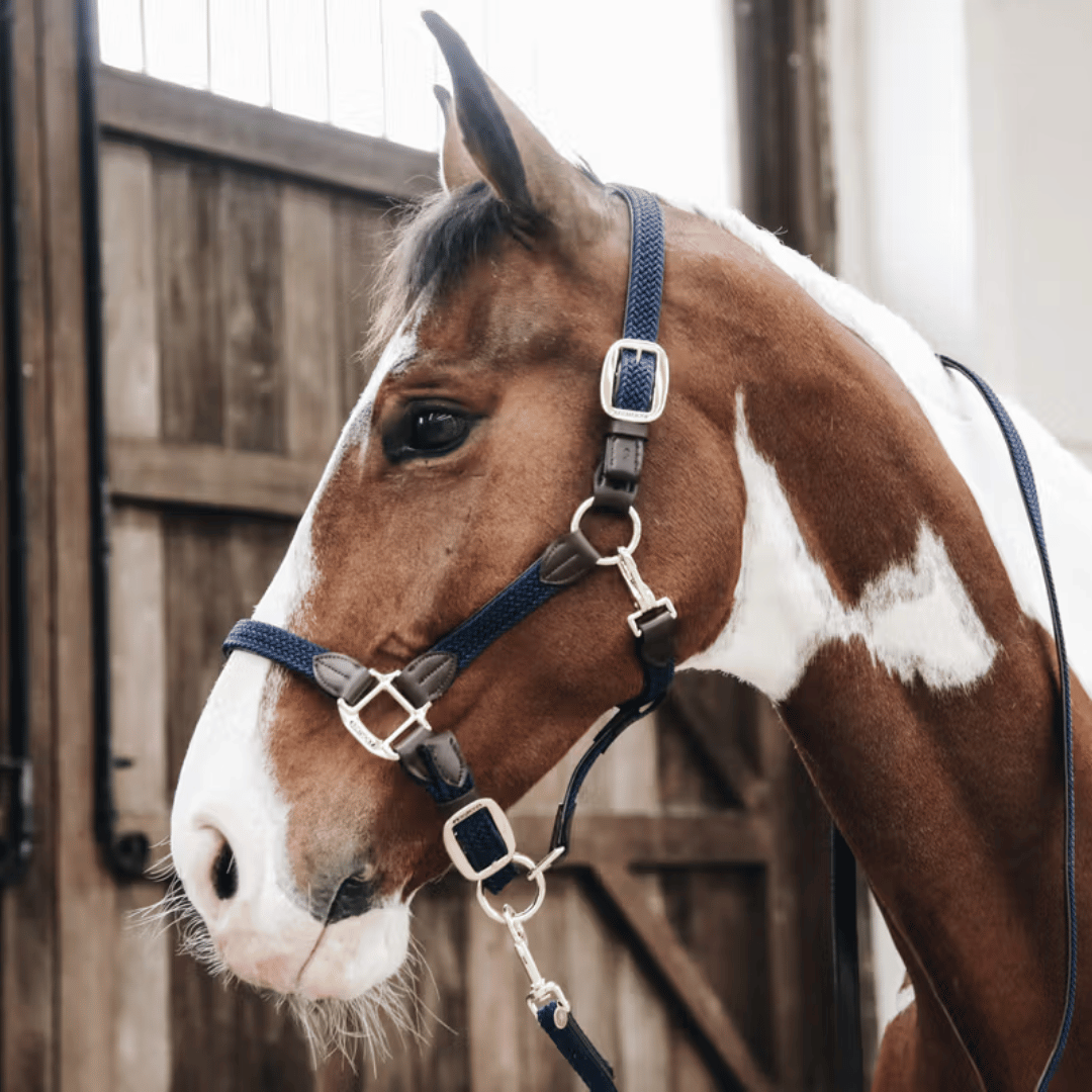 Kentucky Horsewear Plaited Nylon Halter