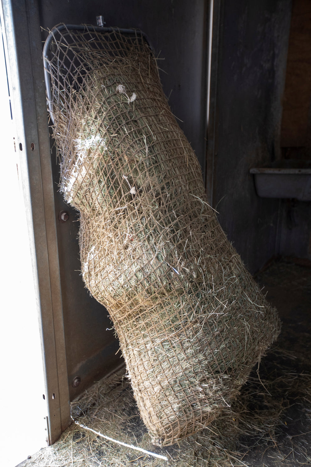 Kensington Slow Feed - Freedom Feeder Frame