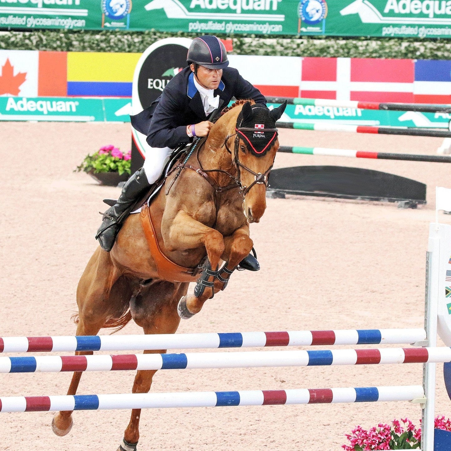 Majyk Equipe Boyd Martin Stadium Tendon Jump Boot with ARTi-LAGE Technology