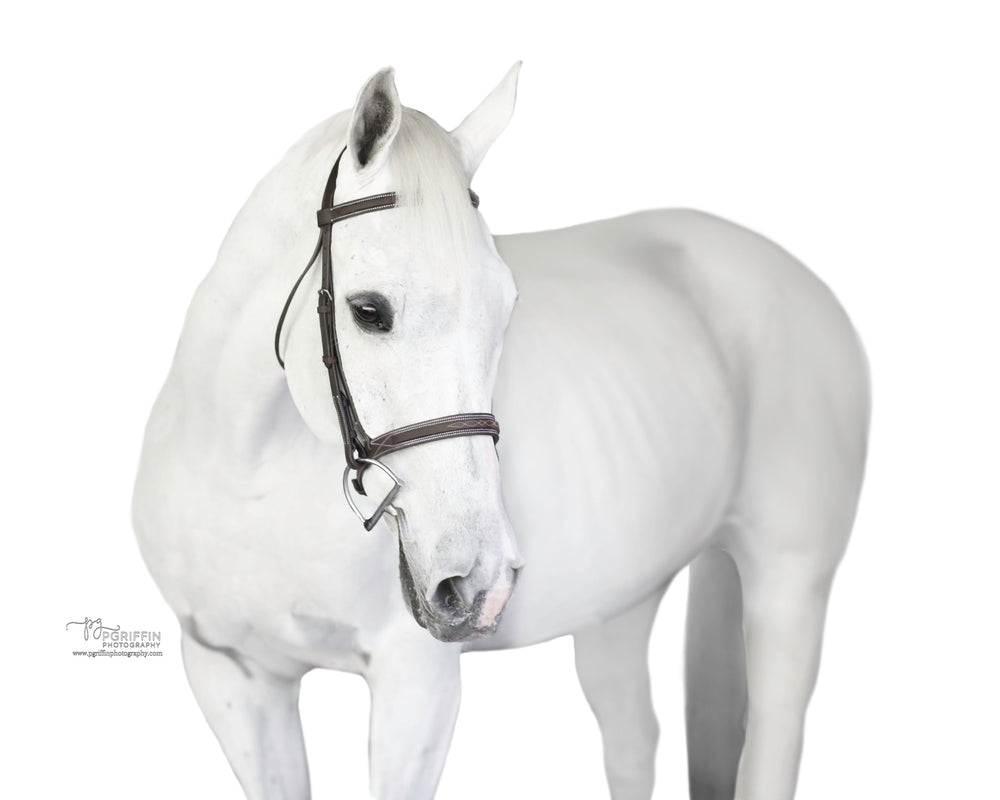 Belle and Bow Sugarbrook Bridle Wide Noseband