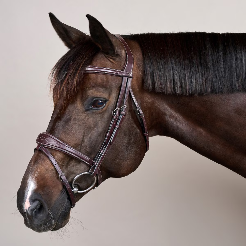 Dy'on Anatomic Flash Noseband Bridle - US Collection
