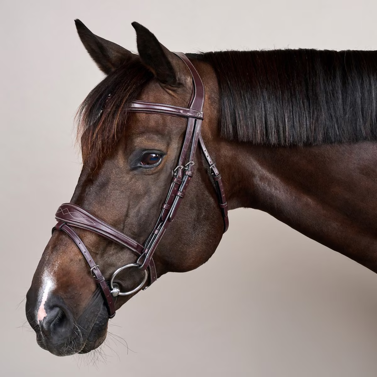 Dy'on Anatomic Flash Noseband Bridle - US Collection