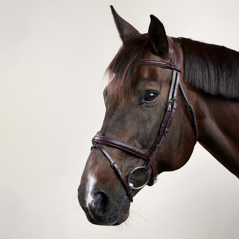 Dy'on Flash Noseband Double Bridle - New English Collection