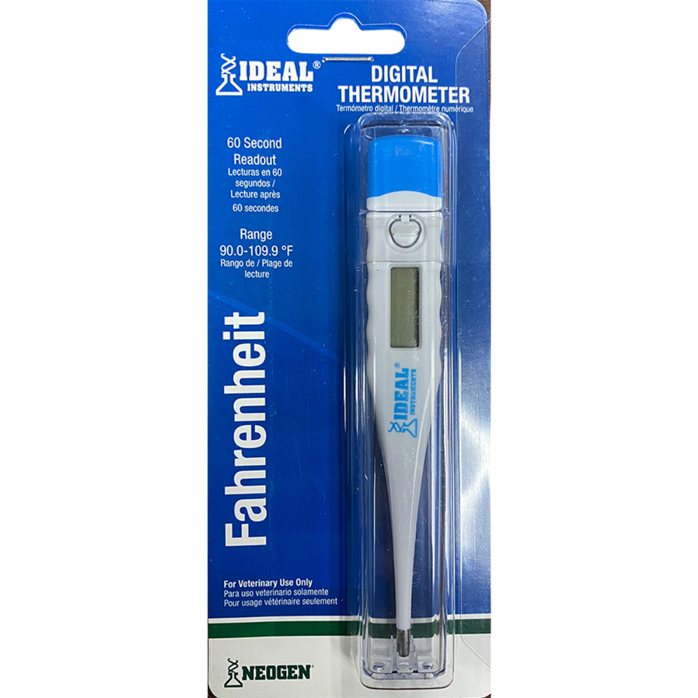 Digital Thermometer