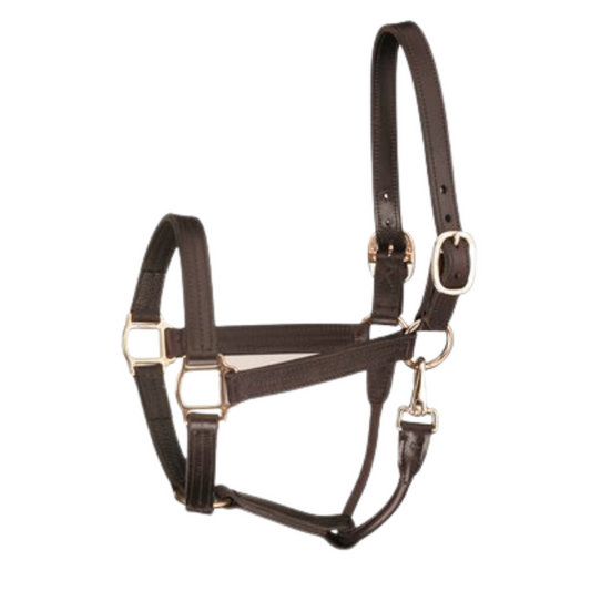 1" Horse Havana Track Halter with Snap