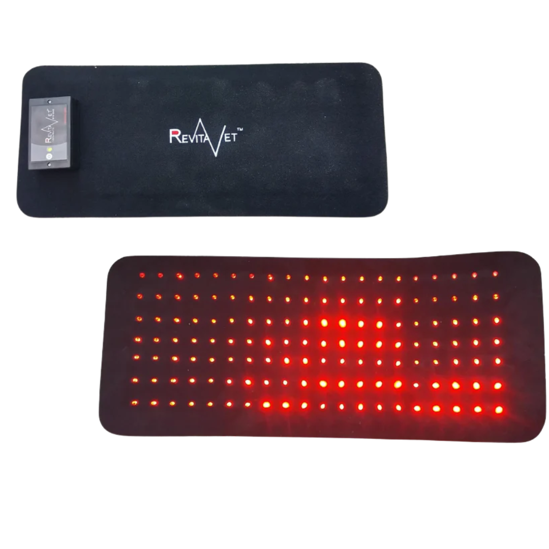 RevitaVet Back Pad Complete