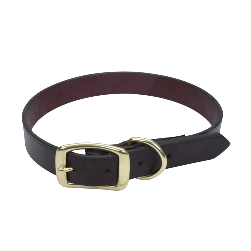 Circle T® Latigo Leather Town Dog Collar with Solid Brass Hardware 1”