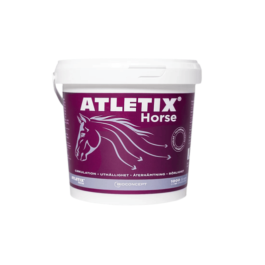 Atletix Horse