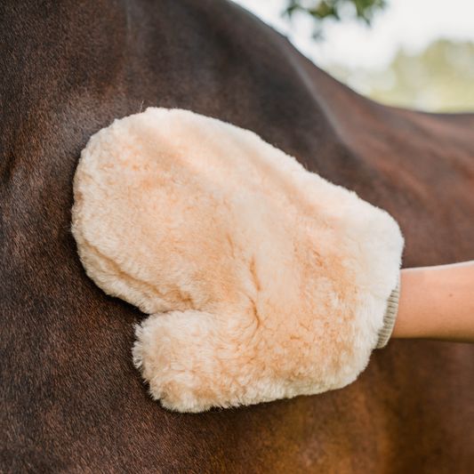 Grooming Mitt