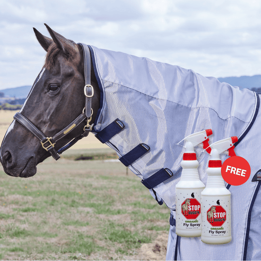 Weatherbeeta Comfitec Hexi Shield Fly Sheet with Fly Spray BOGO