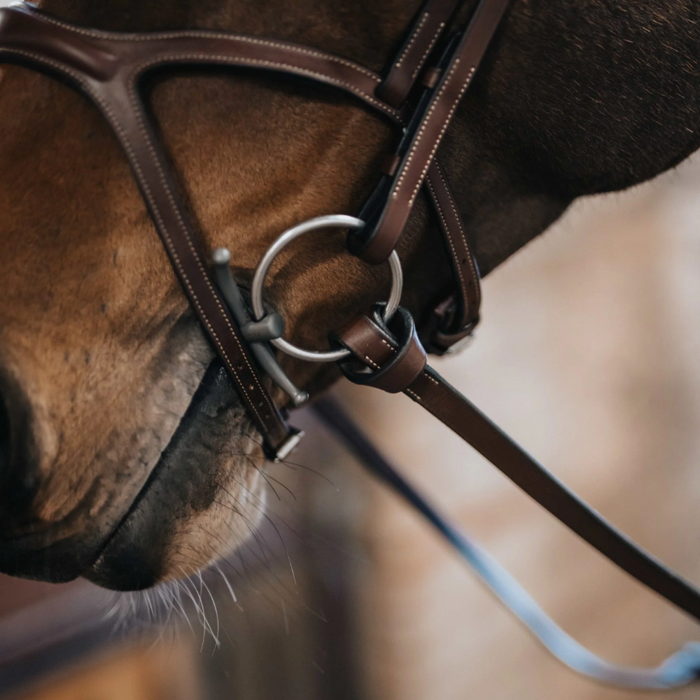 Bhoof Bit 1 Single-jointed