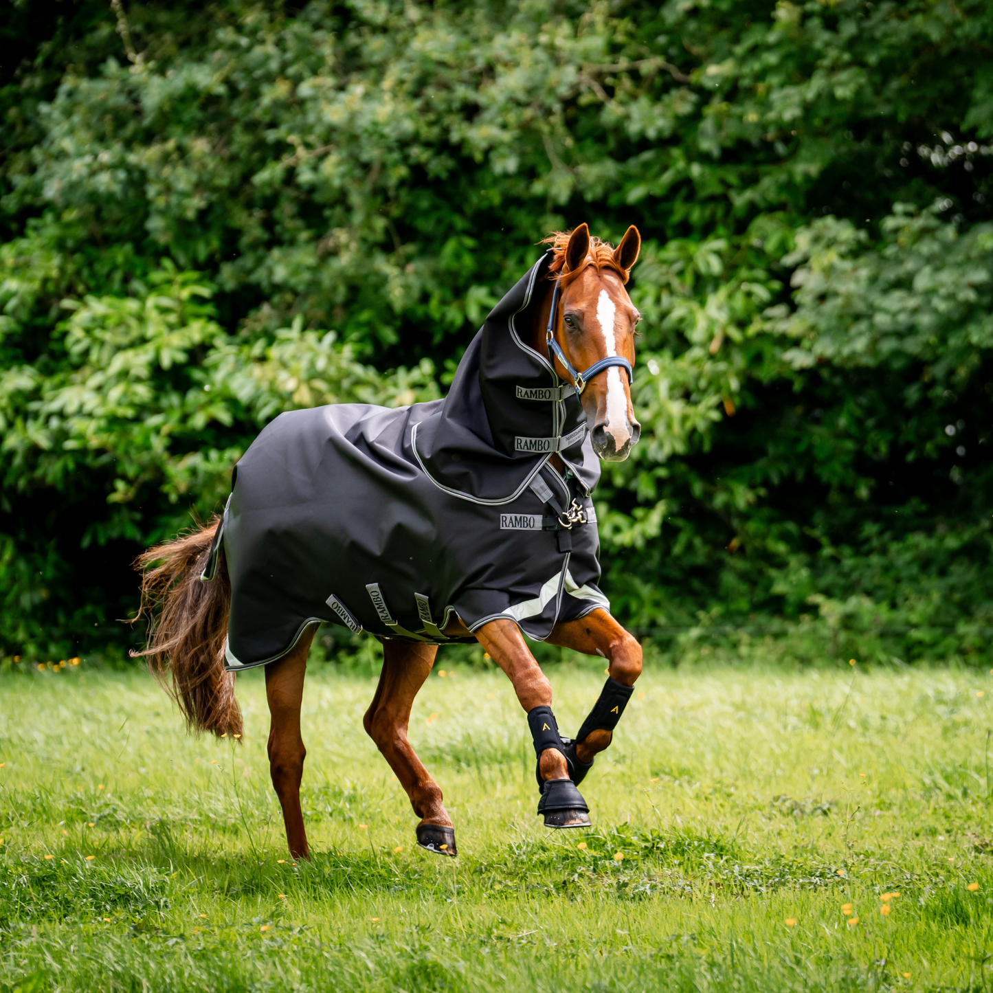 Rambo Supreme 1680D Vari-Layer Turnout (450g Heavy)