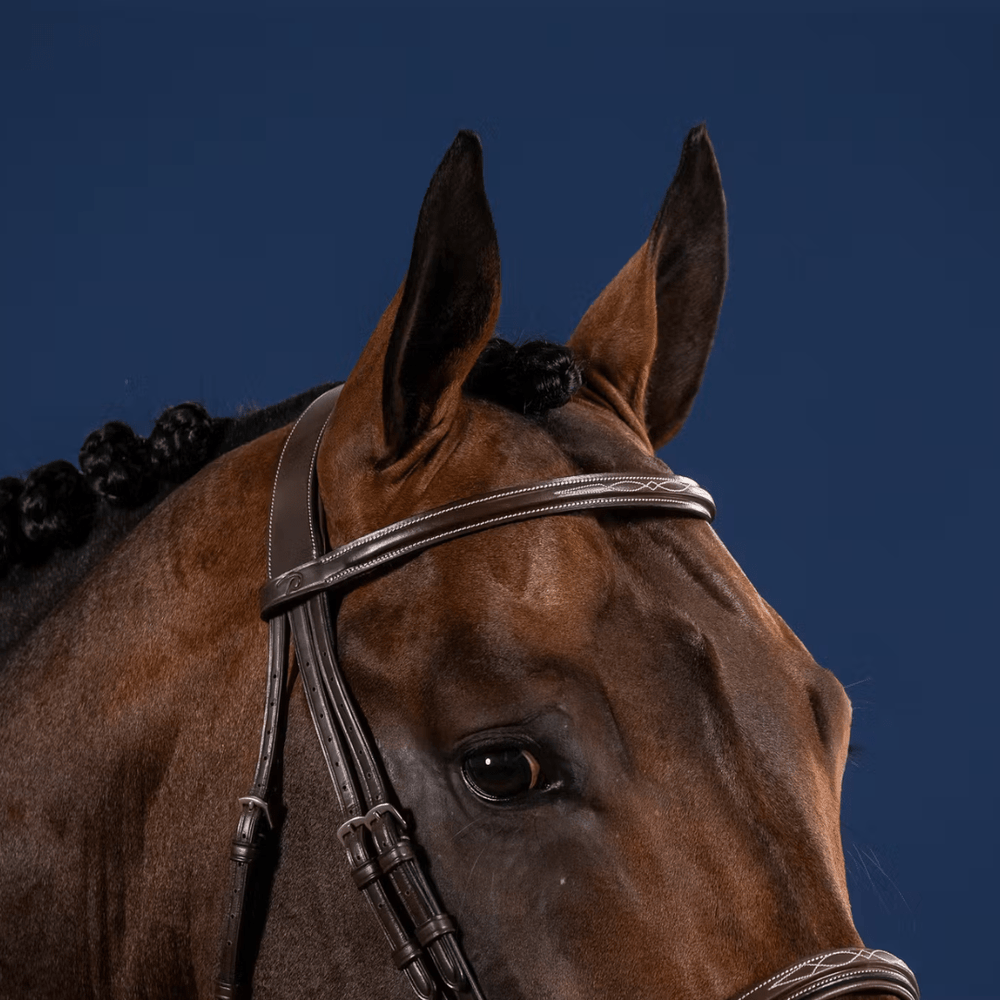 Dy'on Cavesson Noseband Bridle - US Collection