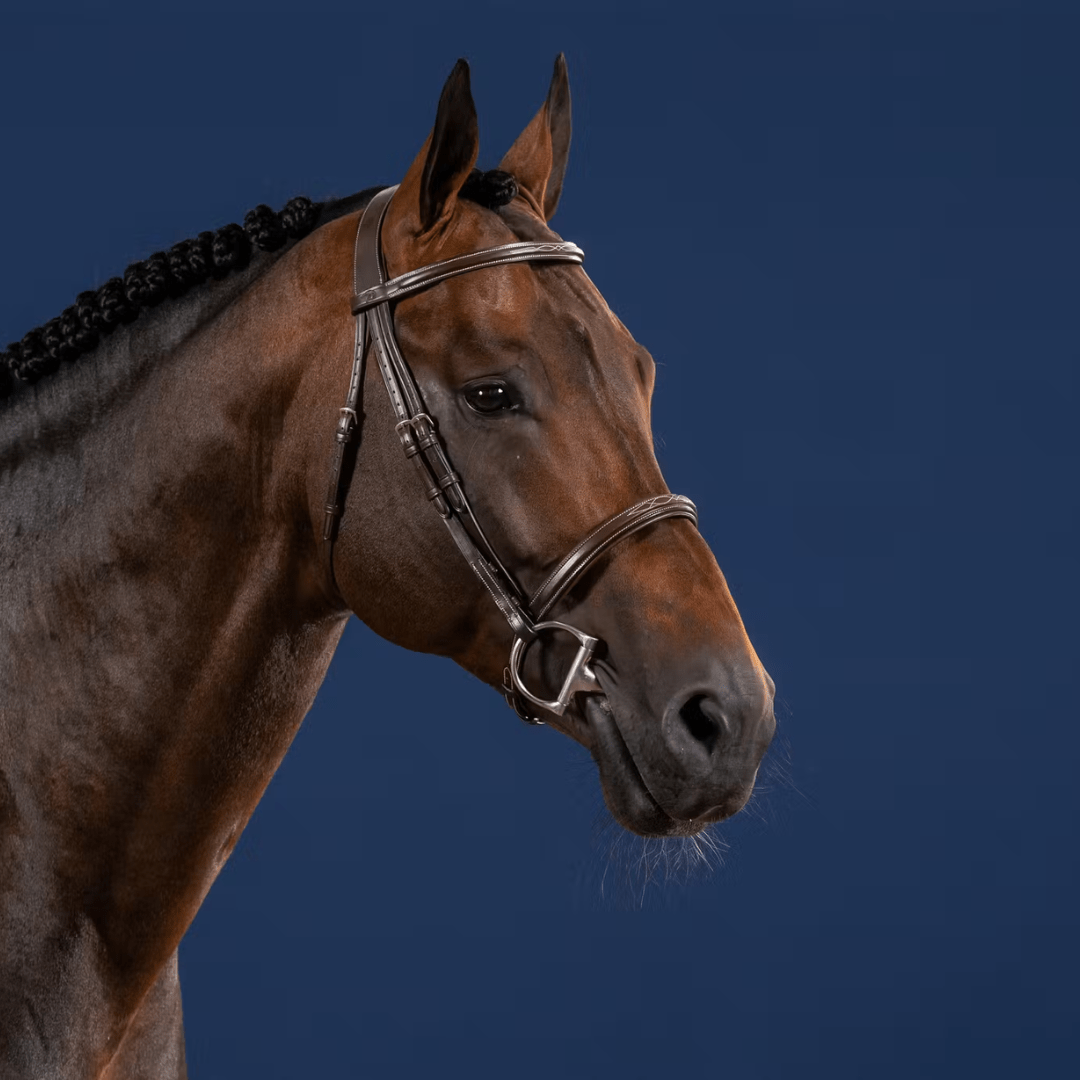 Dy'on Cavesson Noseband Bridle - US Collection