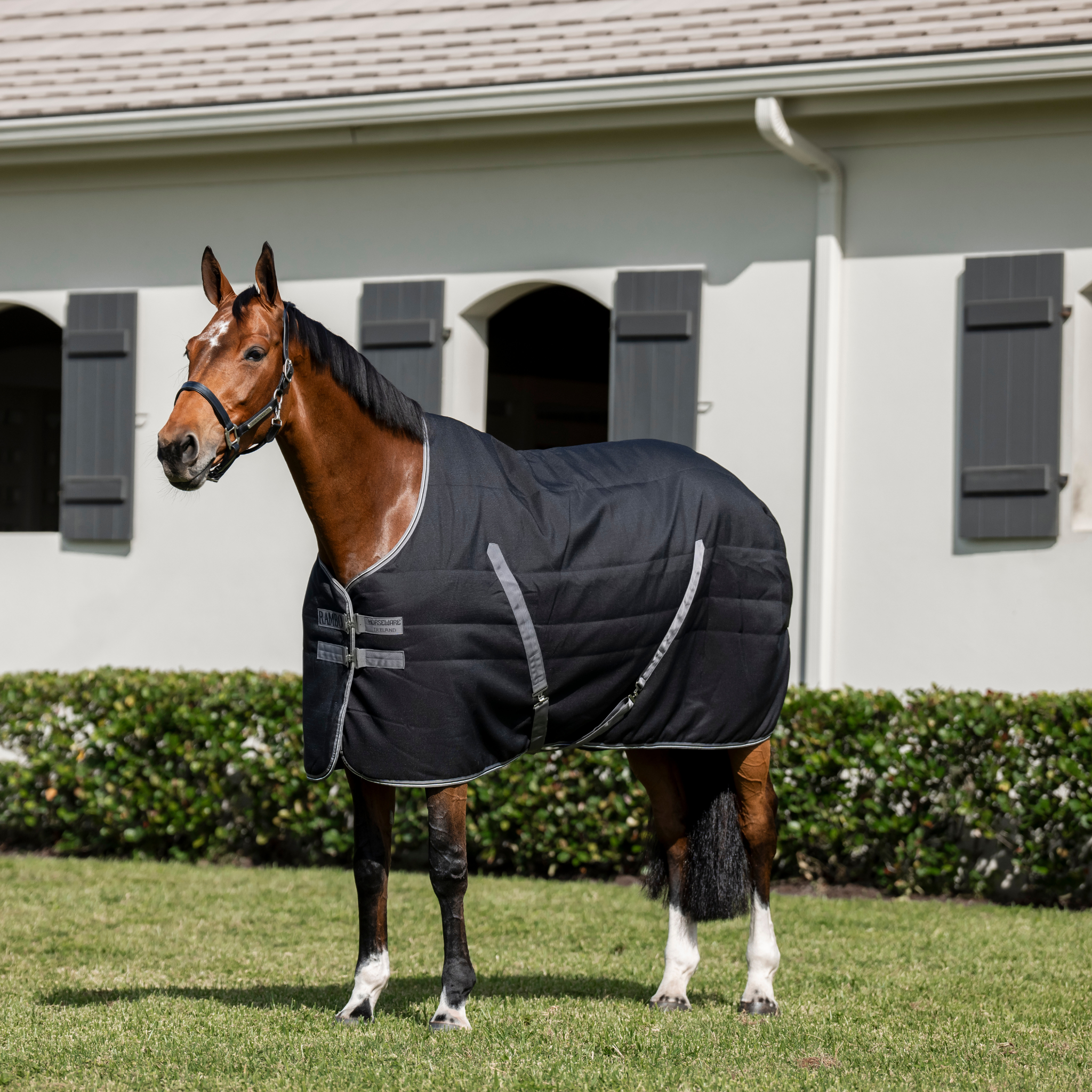 Rambo Stable Blanket (100g Light) - Embossed Lining | Corro