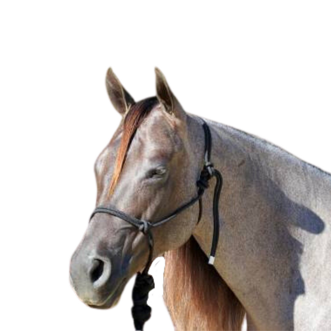 Professional's Choice Rope Halter with Lead Rope
