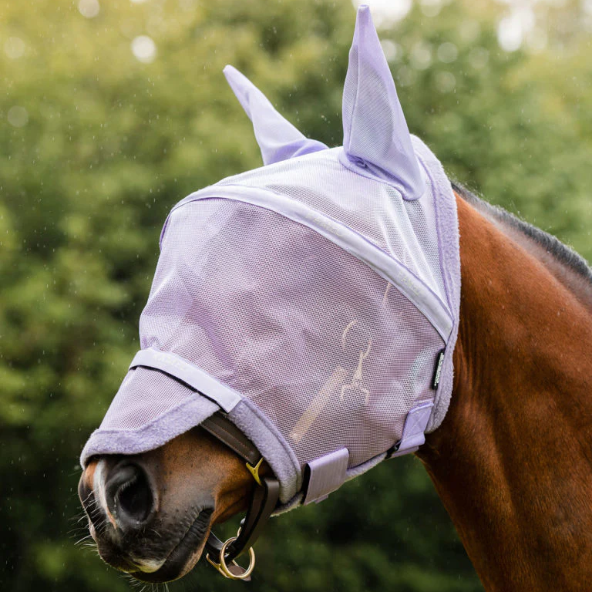 Rambo Plus Fly Mask with Ears | Corro Rambo Plus Fly Mask with Ears | Corro
