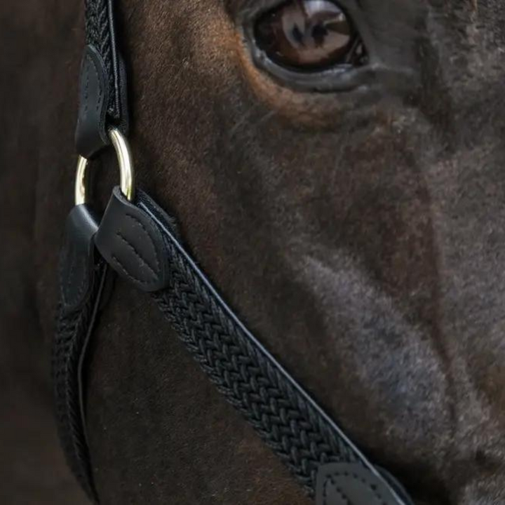 Kentucky Horsewear Plaited Nylon Halter