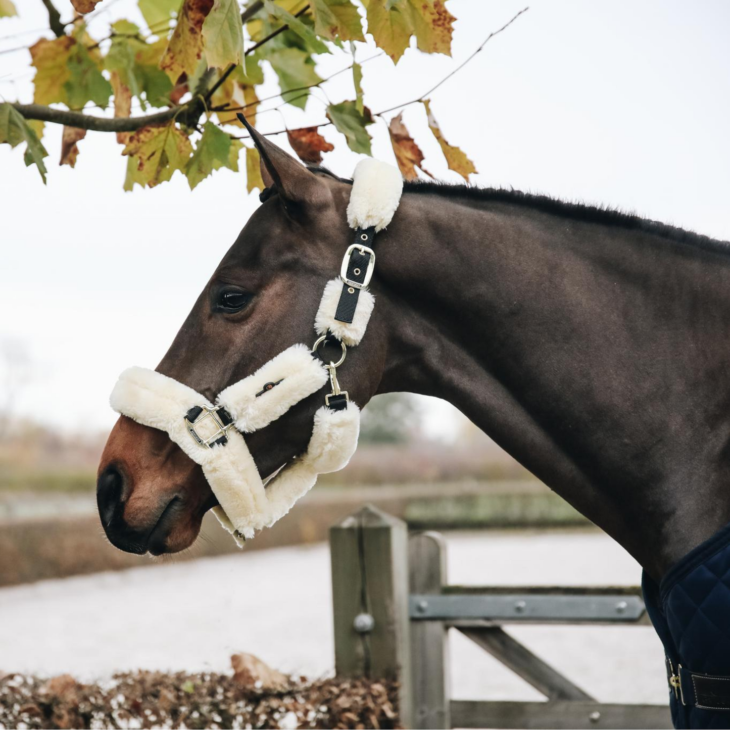 Kentucky Horsewear Sheepskin Shipping Halter