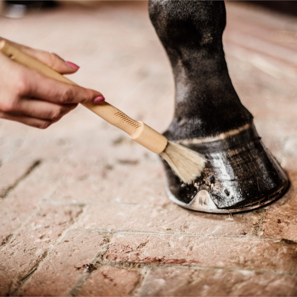 Grooming Deluxe Hoof Pencil