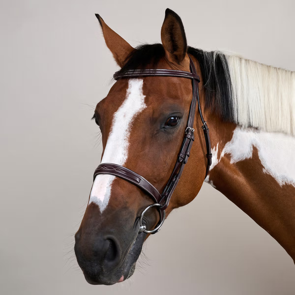 Dy'on Cavesson Hunter Noseband Bridle - US Collection