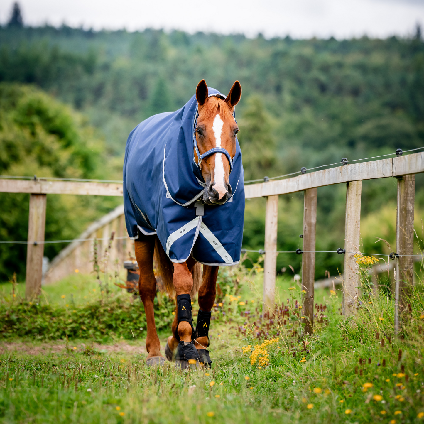 Amigo Bravo 12 Plus Turnout (250g Medium)