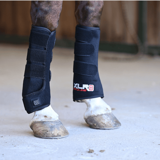 XLR8 Equine Redline Tendon Wrap - Pair