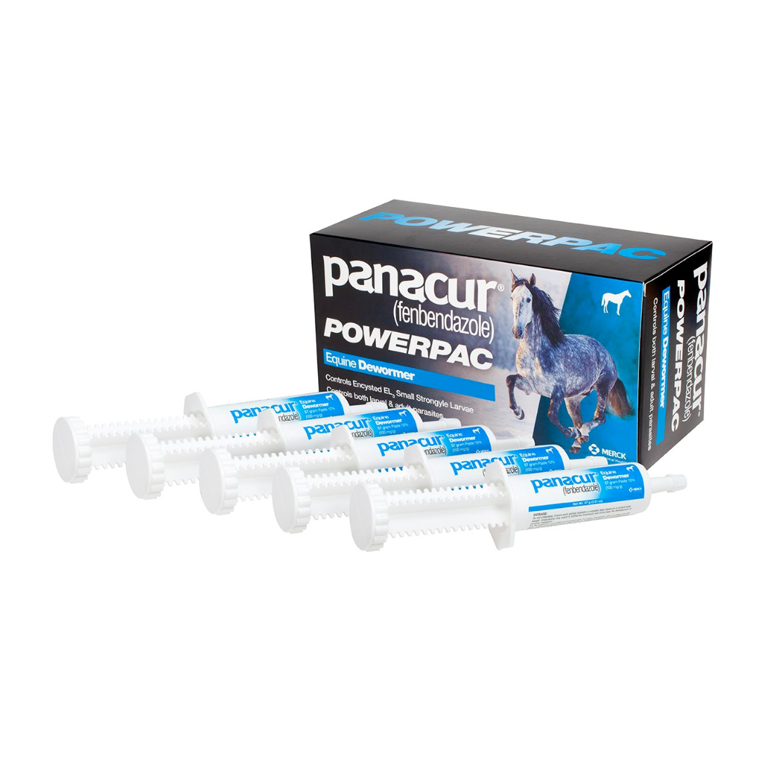 Panacur Powerpac Equine Dewormer