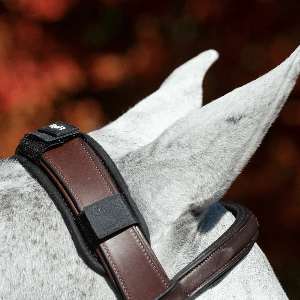 EquiFit ImpacTeq CrownPad