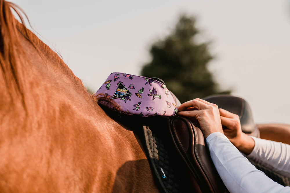 Schulz Equine Beat Bag
