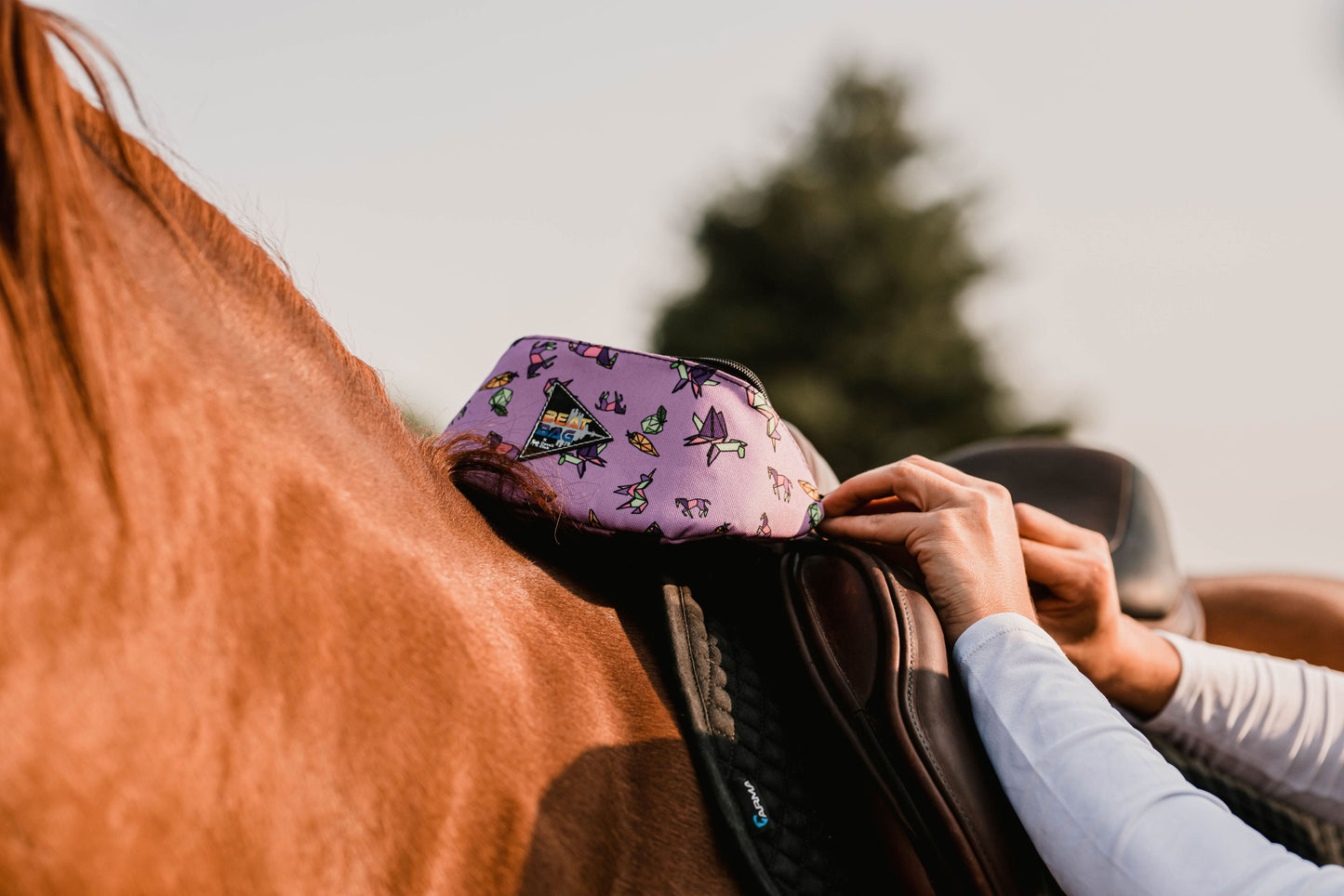 Schulz Equine Beat Bag