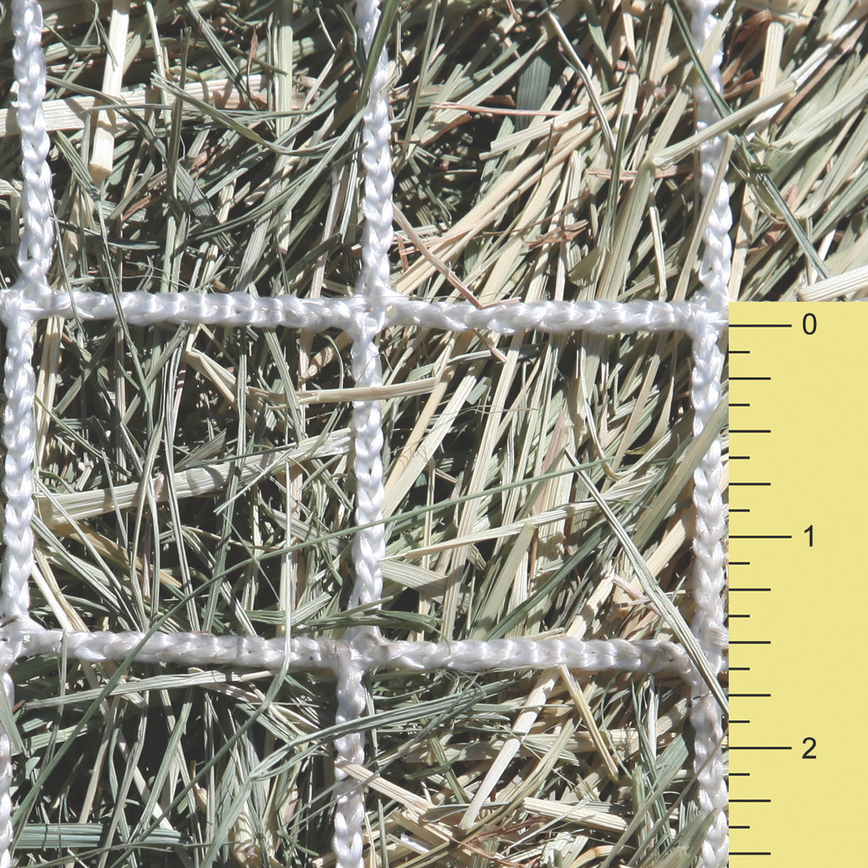 Kensington Slow Feed - Full Bale Freedom Feeder - Capacity: 3 String Bale