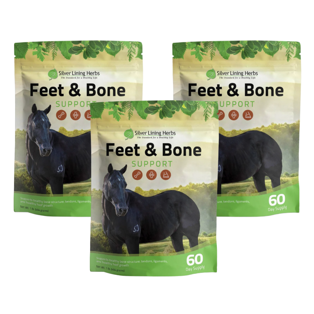Silver Lining Herbs Feet & Bone Support for Horses