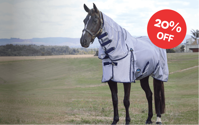 A horse standing in an outdoor field wearing a light gray horse blanket with dark trim. A red circular sticker in the top right corner reads '20% OFF'.