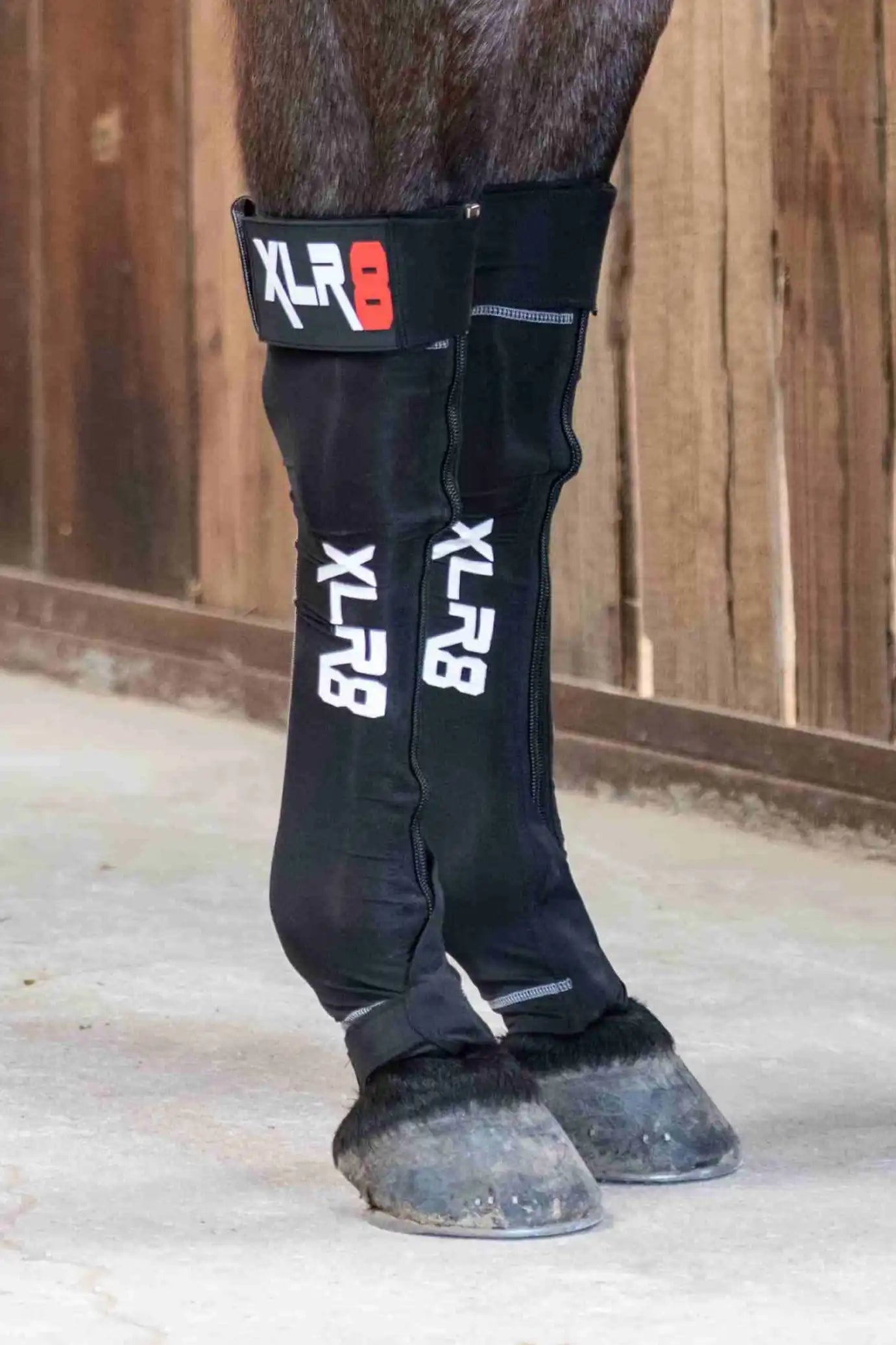 XLR8 Equine G-Force Compression Boot