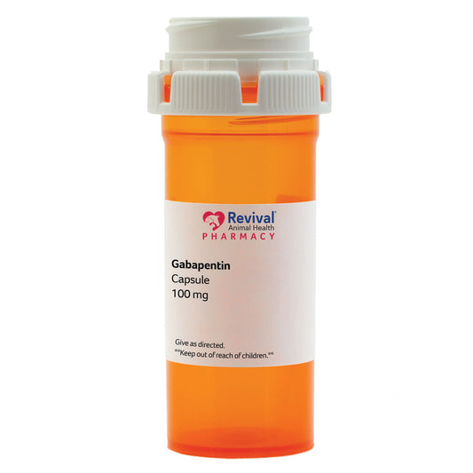 Gabapentin Capsules