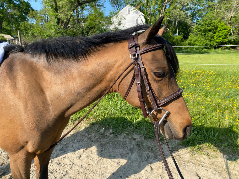 Belle and Bow Chambon