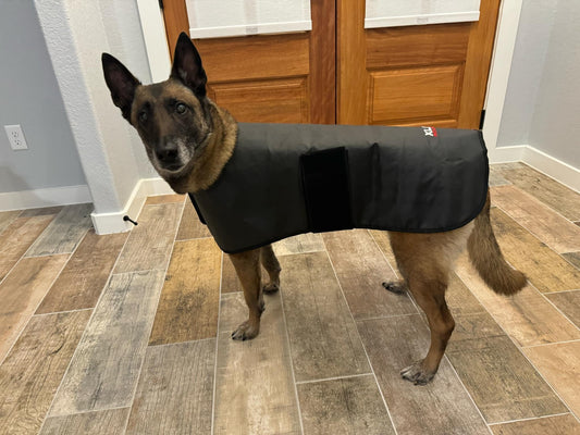 XLR8 Equine Redline Dog Wrap- Large