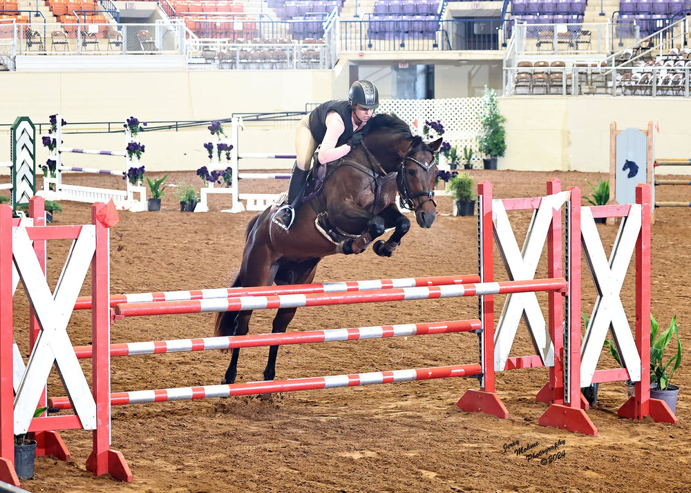 Divine Equestrian Dignified Competition Breeches - Beige