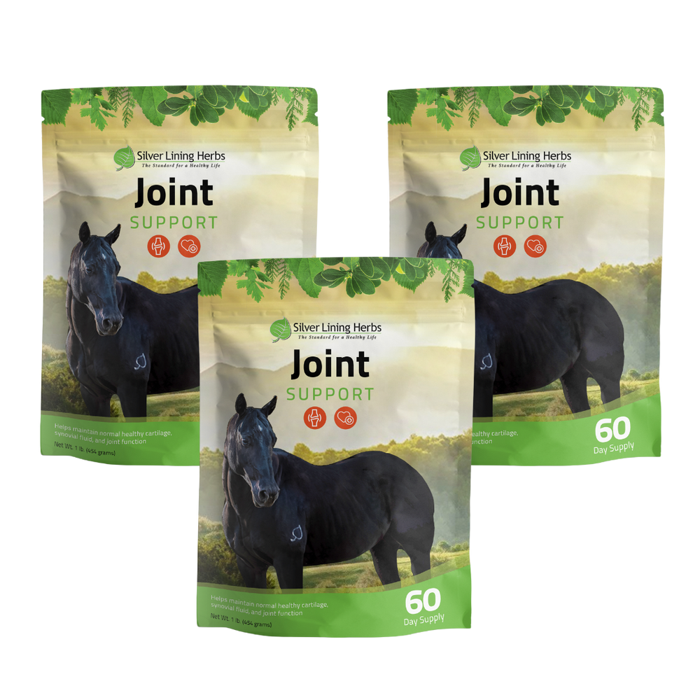 Silver Lining Herbs Joint Support for Horses