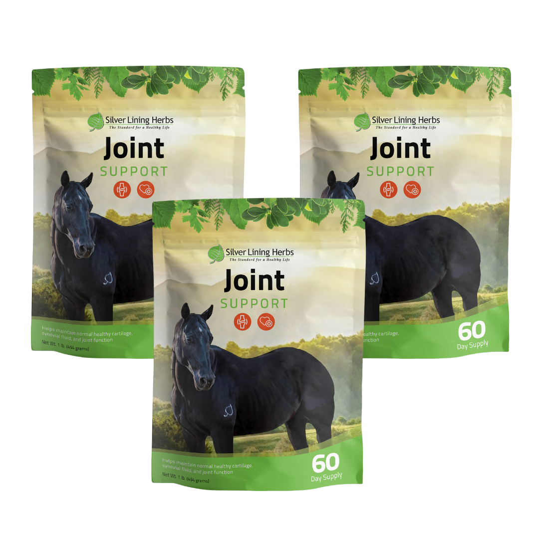 Silver Lining Herbs Joint Support for Horses