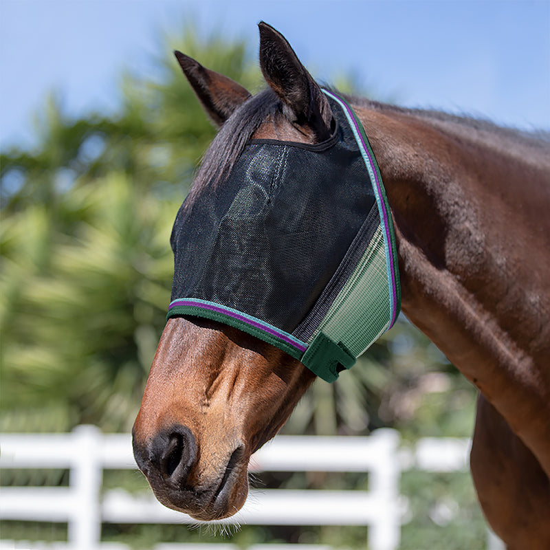 Kensington 90% UV Fly Mask CatchMask UViator - without Ears &  Forelock Freedom